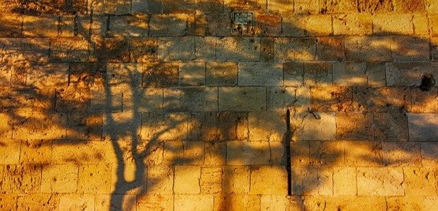 Gottes Wahl ist unwiderruflich