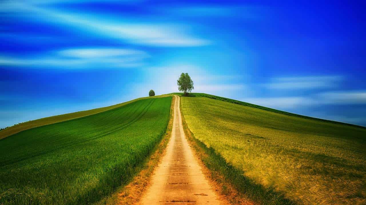 Der schmale Weg zum Leben