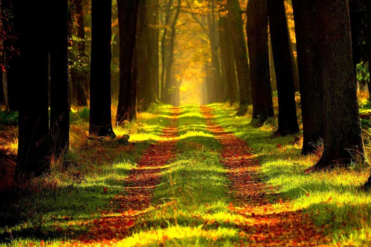 Der heilige Weg – dem Lamm folgen