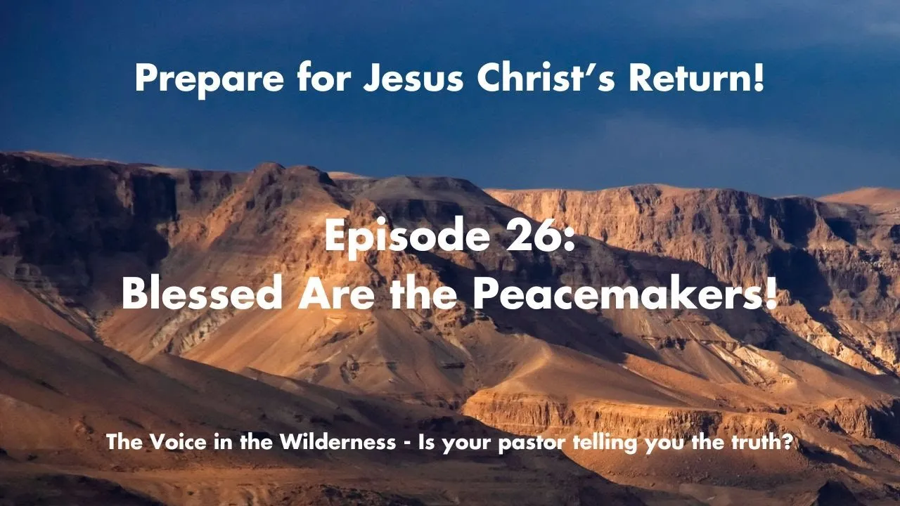 Blessed Are the Peacemakers (Matthew 5:9) - Lessons for Today’s World
