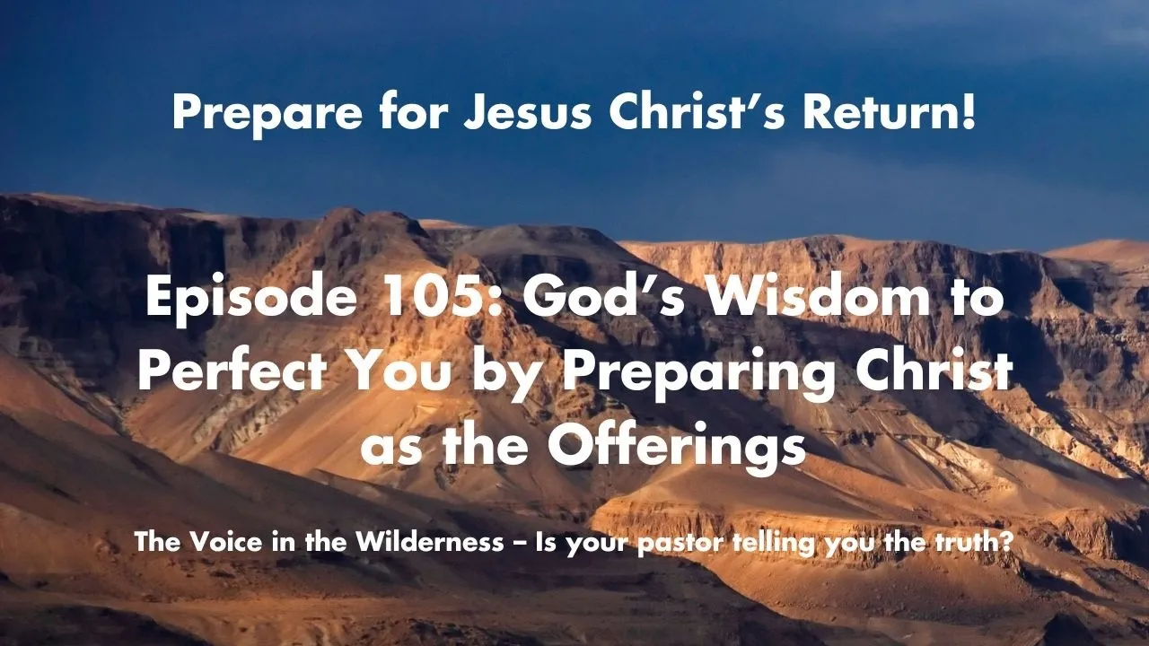 God’s Wisdom to Perfect You Through the Offerings of Christ