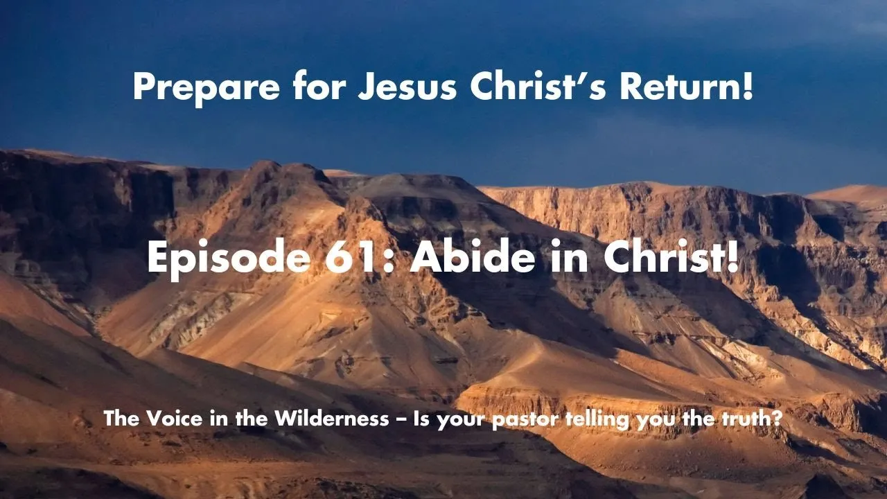 Abide in Christ: Your Shelter in a Chaotic World