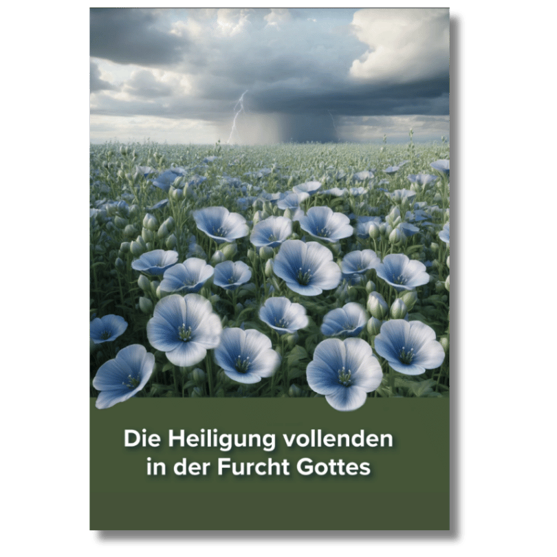 Die Heiligung vollenden in der Furcht Gottes