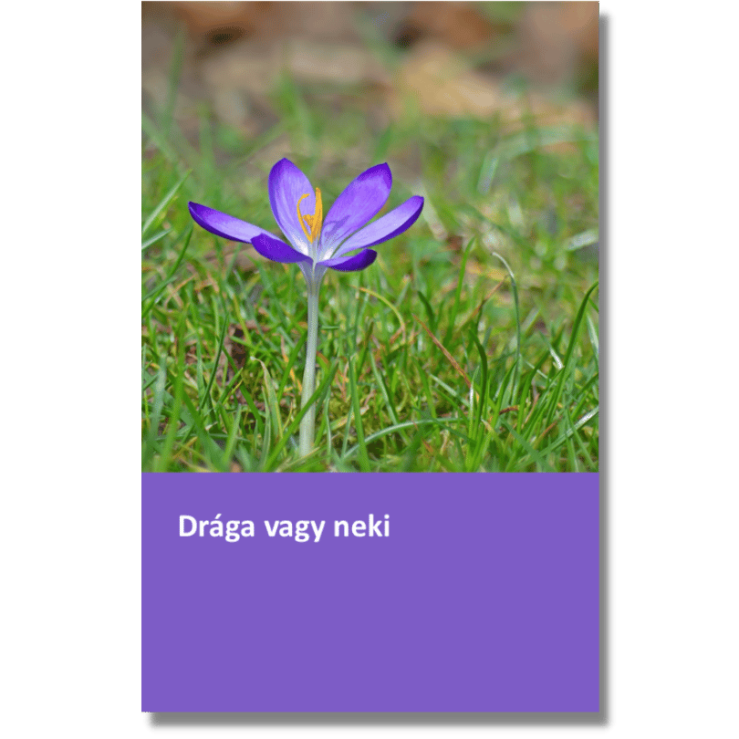 Drága vagy Istennek